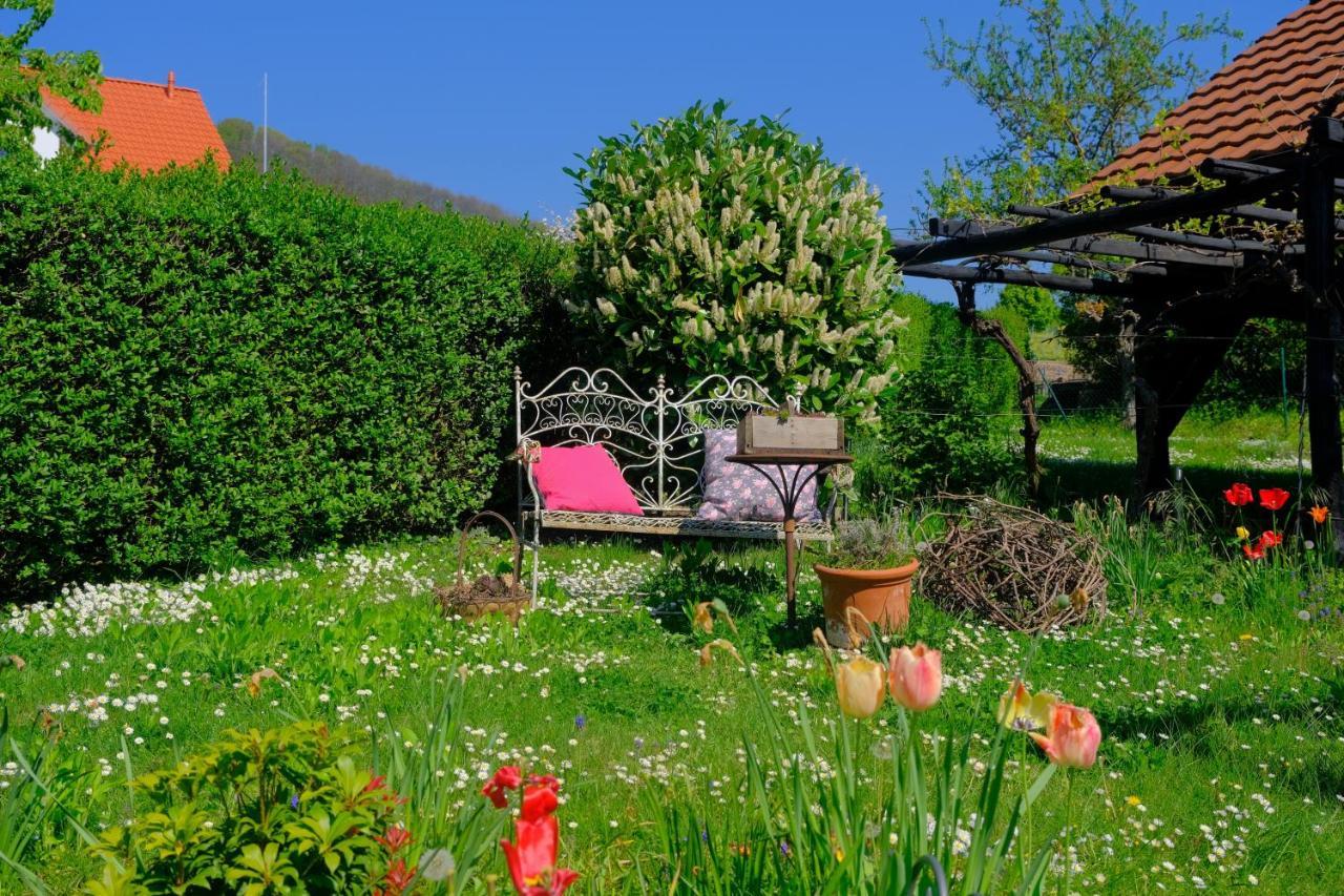 Ferienweingut Wissing Wohnung Frieda Gleiszellen-Gleishorbach Exteriör bild