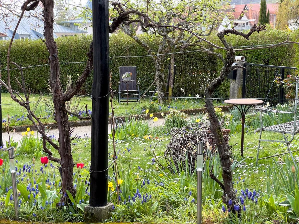 Ferienweingut Wissing Wohnung Frieda Gleiszellen-Gleishorbach Exteriör bild